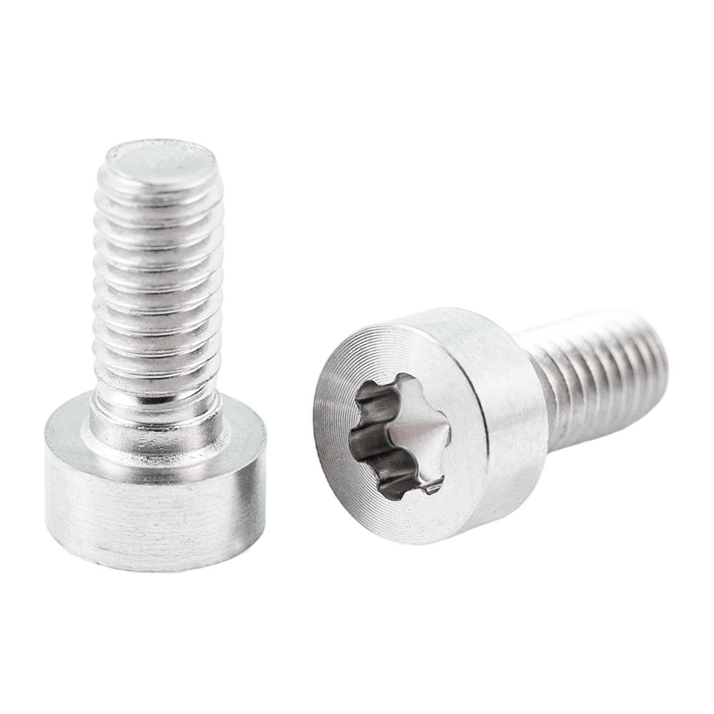 Vít mô hình CD đầu cốc thấp tùy chỉnh Vít chải satin đầu Torx Vít mô hình CD đầu cốc thấp tùy chỉnh Vít chải satin đầu Torx