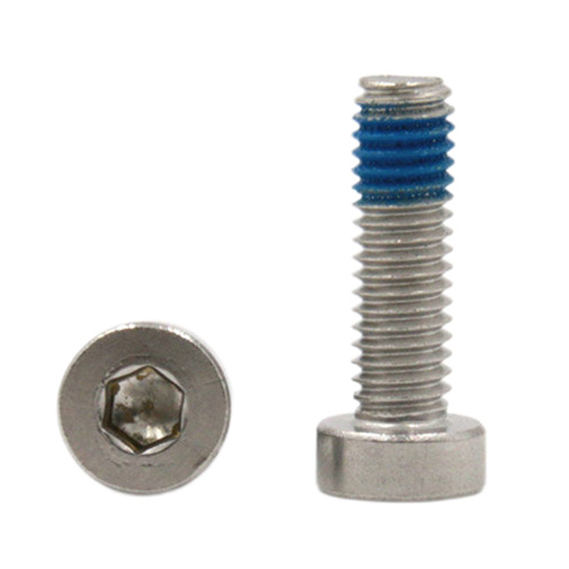 Tùy chỉnh thép không gỉ 304 ổ cắm hex đầu cốc thấp chốt khóa vi mô