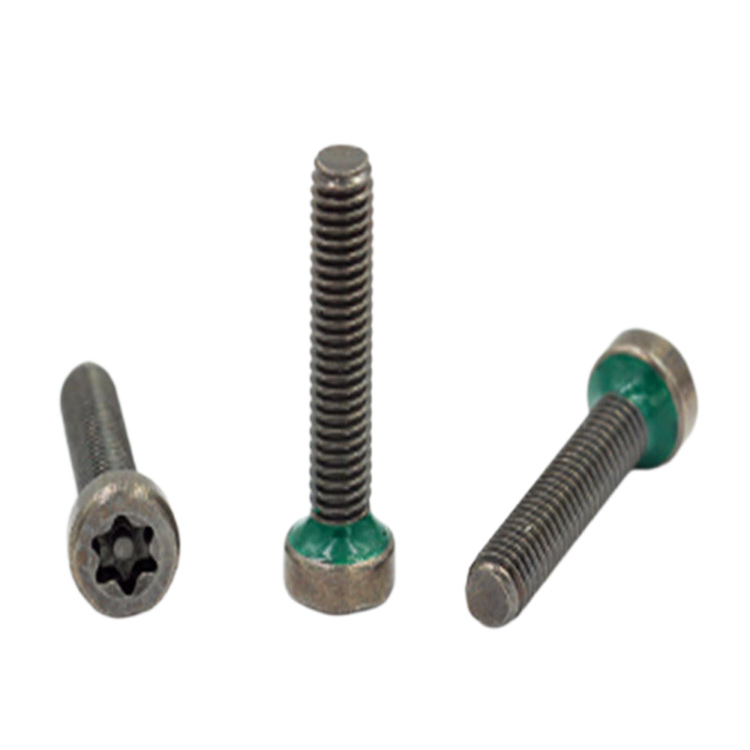 Torx thiết kế tùy chỉnh với vít chống nước đầu pin