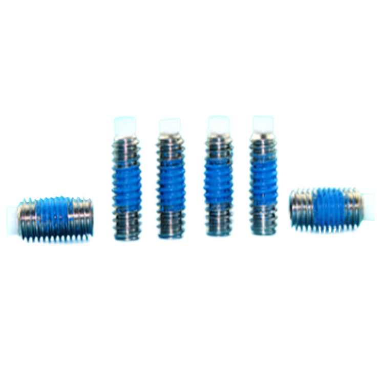 Bộ vít lục giác bằng thép không gỉ có đầu bằng nylon có miếng vá nylon màu xanh Bộ vít lục giác bằng thép không gỉ có đầu bằng nylon có miếng vá nylon màu xanh